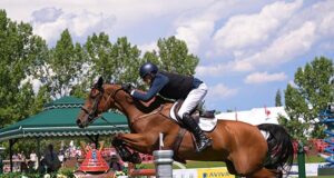 Frans Voeten (87): Over 65 years personal breeding history