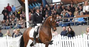 Three Westfalian riding horses break the €100,000 mark