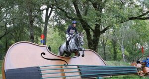 Cooley eventing horses: “A bit of blood and a good brain…”