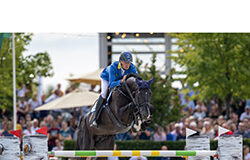 Dominator Z fresh semen temporarily available…