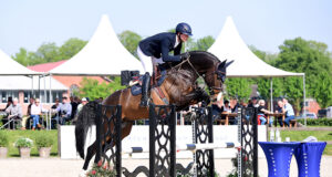 Holsteiner Verband young stallions presentation