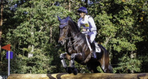 The WBFSH breeder rankings are back!