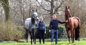 The performance breeding and passion of Bart Henstra