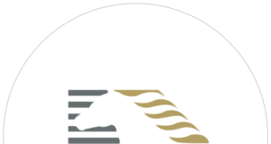 Schockemöhle Helgstrand International Online Foal Auction