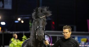 Character: The strength of the Friesian horse