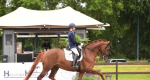 Holstein Horse Days light up at Herbert-Blöcker-Platz