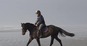 Age and breeding information required for NZ Young Eventers