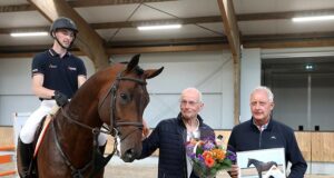 Quality and quantity central to new group of KWPN stallions