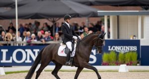 Geldings and ghosts: The sires of the future?