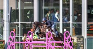 AES looks forward to WBFSH Studbooks GCT team selection