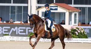 Aachen dressage breeding a celebration for Dante Weltino