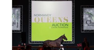 Normandy Queens Auction: August 3