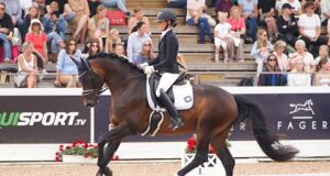 Success for SWB dressage horses at Falsterbo Horse Show