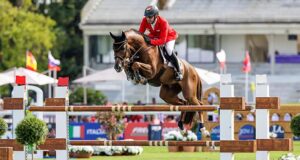 Westfalian Week foal collection and riding for Olympic glory