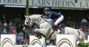 SWB showjumping horses dominate at Falsterbo Show