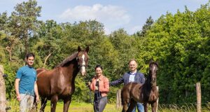 The Van den Tillaart family: “Anchoring piaffe and passage”