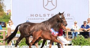 Three worthy winners from Dinken, Cahil, and For Romance