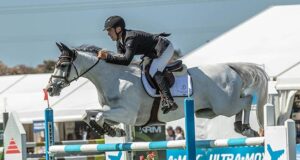 What a year! Waitangi celebrates breeding excellence