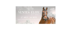 FENCES Elite Auctions: Only one week to go…