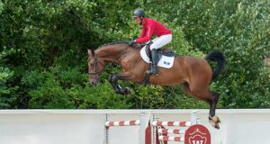 \Westfalian Studbook Handorf Auction Festival kicks off