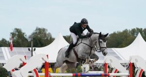Exceptional success in Lanaken continues for Irish Sport Horses