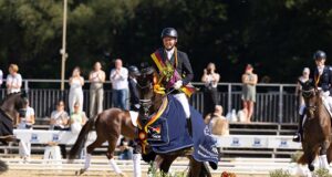 Hanoverian Verband finishes on top at the Bundeschampionat