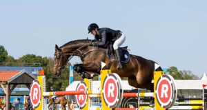 The mare makes the difference: Outstanding progeny of Utah NL