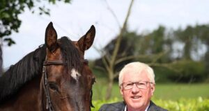SWB welcomes showjumping judge Richard Bourns