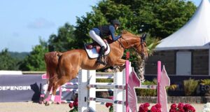 Recognizing the breeders: NZWA Horses of Distinction