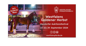 Results of Westfalen Golden Autumn auction