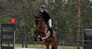 Brilliant bronze for 6yo SWB Clawfinger at eventing WBCYH