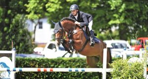 Dinken: A modern sport horse perfomance sire