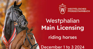 Counting down to Westfalian stallion licensing in Handorf