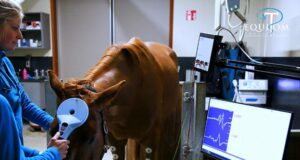 Equitom’s MMEP test offers precious diagnosis of ataxia