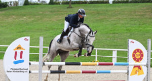 Marbach Riding Horse Auction
