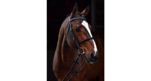 Aktion Pur Z (1998-2024)