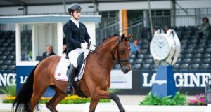 Successful Polish breeding at WBCYH, dressage and jumping