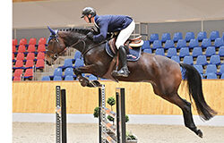 Training has begun for the Oldenburg winter collection