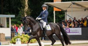 Kathmandu ES Z and Skyline To B – most popular sires in Sweden