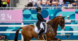 WBFSH latest sire rankings: A 30-year institution