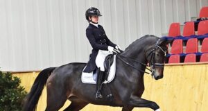 Americans secure top horses at 12th Oldenburger Special Edition