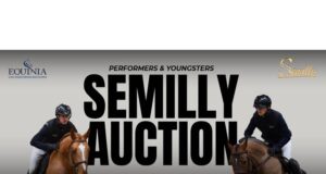 Ring in 2025 with a Semilly young horse