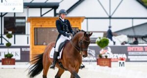Cardamon and Bon Ton: Best WBFSH-ranked PZHK horses