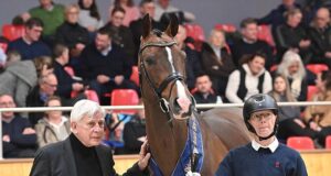 Focus on offspring in sport for Oldenburger Future Sire Award