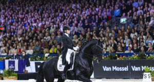 The KWPN stallion show review: Super sires or super duds?