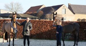 Mechelen’s 42nd show: A tribute to sport and breeding