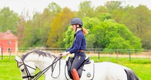 Riviera: A broodmare whose offspring are bred to perform