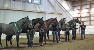 Reflecting on a pioneer in Canadian Warmblood breeding