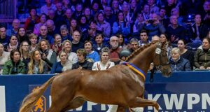 Quality and performance genes abundant in new generation