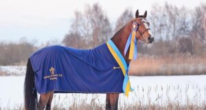 SWB awards Diarado and rising stallions of 2024